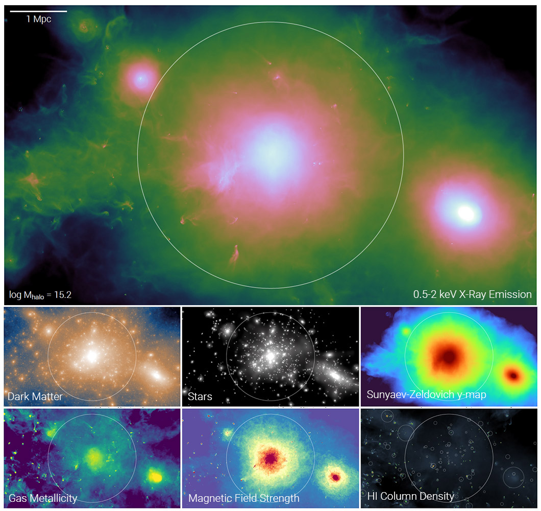 TNG-Cluster